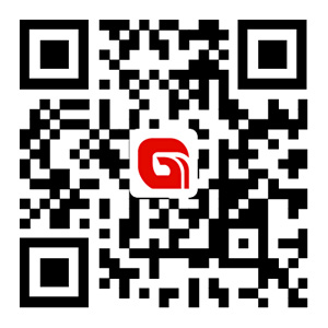 戈斯顿手机网站